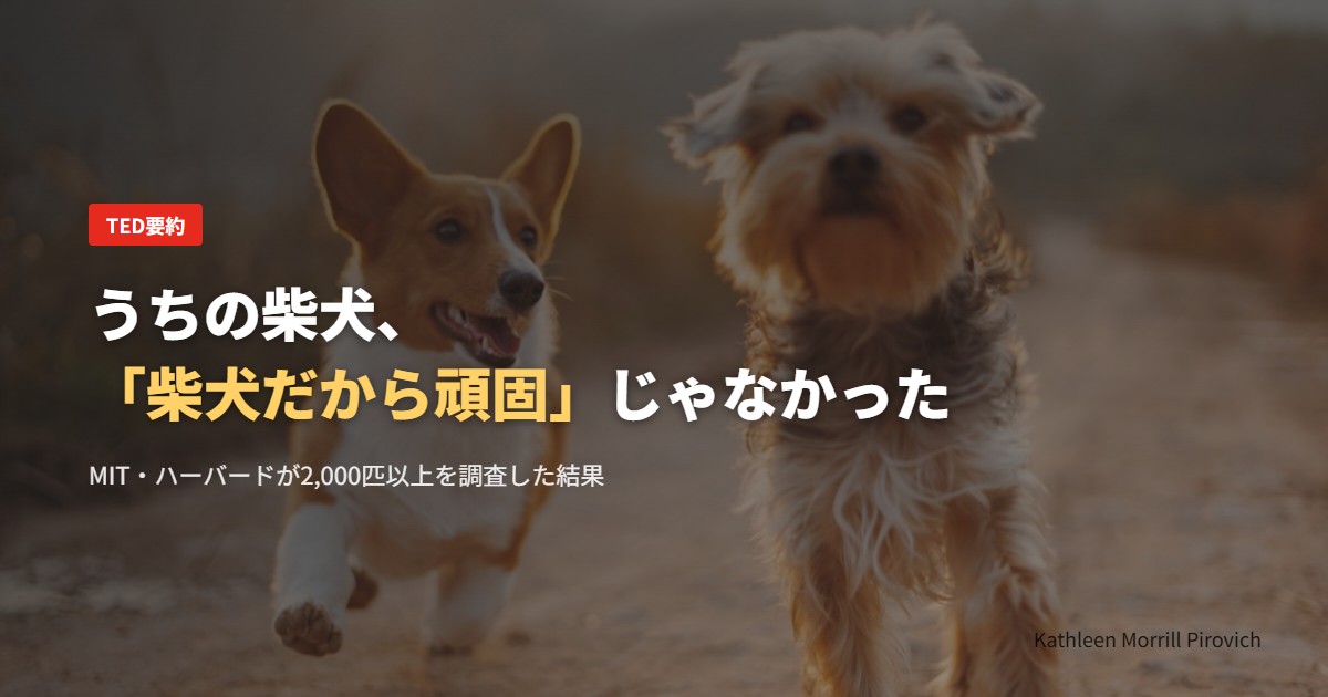 うちの柴犬、「柴犬だから頑固」じゃなかった